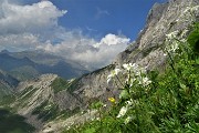 SENTIERO DEI FIORI ‘Claudio Brissoni’ ad anello da Capanna 2000 il 9 luglio 2020 - FOTOGALLERY